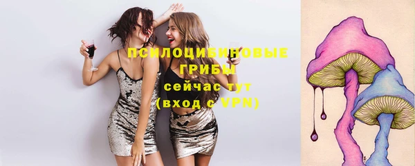 mix Богданович